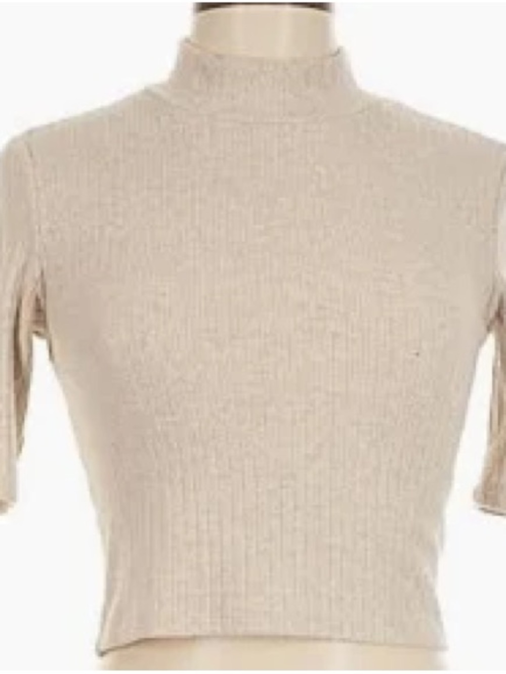Zara Cream Ribbed Mock Neck Crop Top